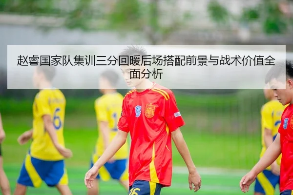 赵睿国家队集训三分回暖后场搭配前景与战术价值全面分析